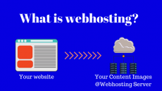 What is Web Hosting for beginners