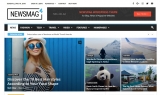 Picking the Perfect WordPress theme for your website and blog