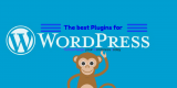 7 Great Plug Ins For WordPress Blogs