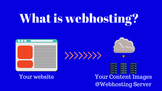 What is Web Hosting for beginners