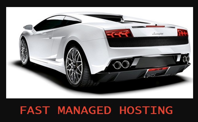 Nestify Hosting Review – Fast Managed hosting at an affordable price